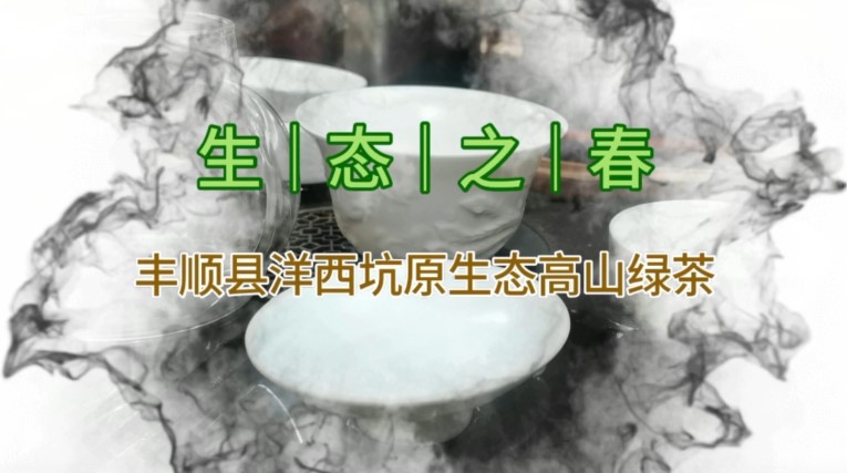 生态之春——丰顺县洋西坑原生态绿茶冲泡